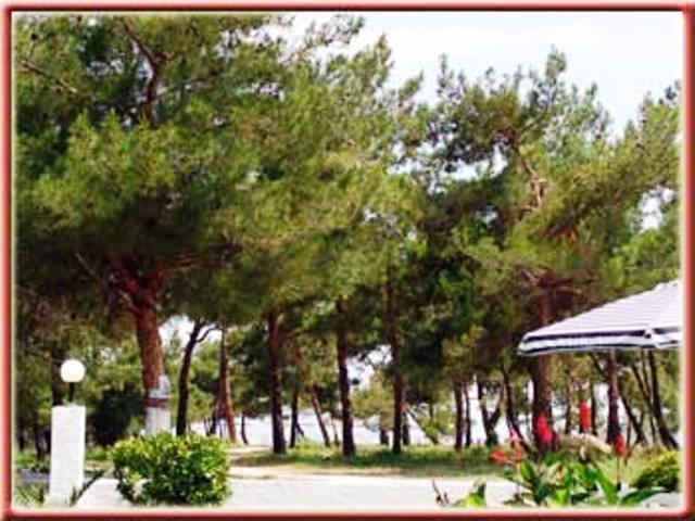 Villa Iris Prinos  Exterior photo